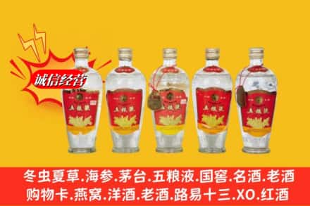 临夏州康乐名酒回收老五粮液.jpg